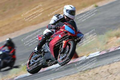 media/Jul-08-2023-2WTD (Sat) [[c8c0d2e149]]/C Group/1040am (Turn 3)/